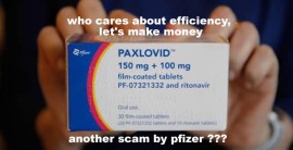 Efficacy of Pfizer’s Covid-19 pill PAXLOVID questioned??? Israeli study