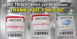 Pfizer & Moderna modified their vaccines with no trials