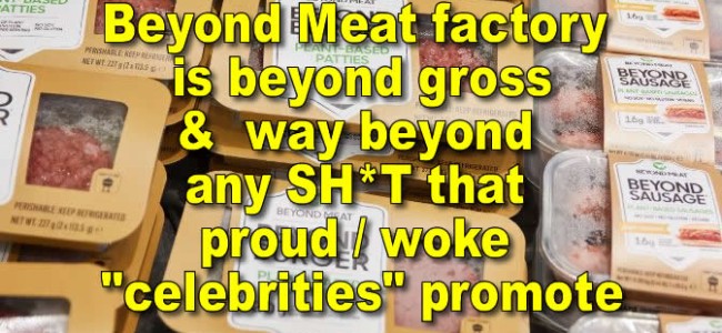 Beyond Meat factory is beyond gross, leaked docs allege