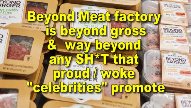 Beyond Meat factory is beyond gross, leaked docs allege