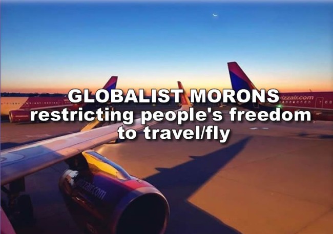 ‘Sinister globalist climate agenda’ behind dramatic flight cuts YOU R NOT ALLOWED TO TRAVEL