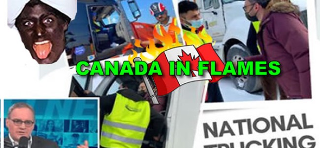 Hypocrisy? Globalist, Liberal Transport Minister Omar Alghabra now professes admiration for truckers