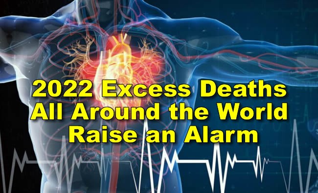 2022 Excess Deaths All Around the World Raise an Alarm