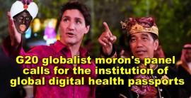 G20 globalist panel calls for the institution of global digital health passports