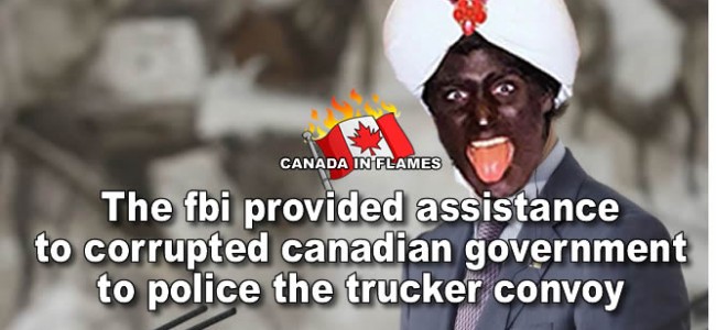 The FBI provided assistance to the canadian government to police the trucker convoy