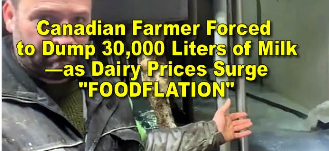 Corrupted Gov of Canada creates FOODFLATION: farmer ordered to destroy 30000L of milk