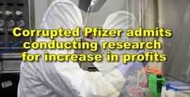 Pfizer admits conducting research for increase in profits — Russian defense ministry