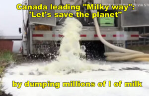 canada-dumps-millions-of-liters-of-milk