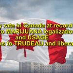 Why CANADA imports immigrants – because of MARIJUANA legalization in 2019 – THANK YOU MORON TRUDEAU